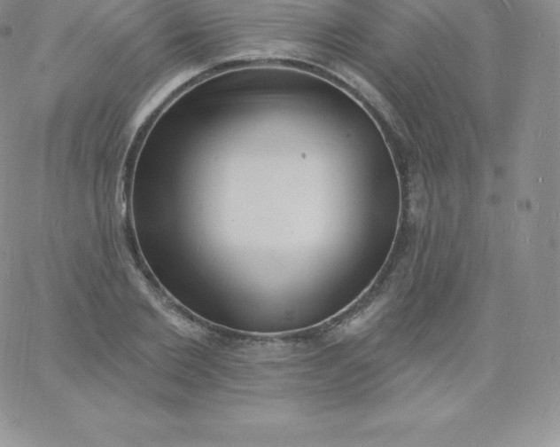 X0000060740885200511241635