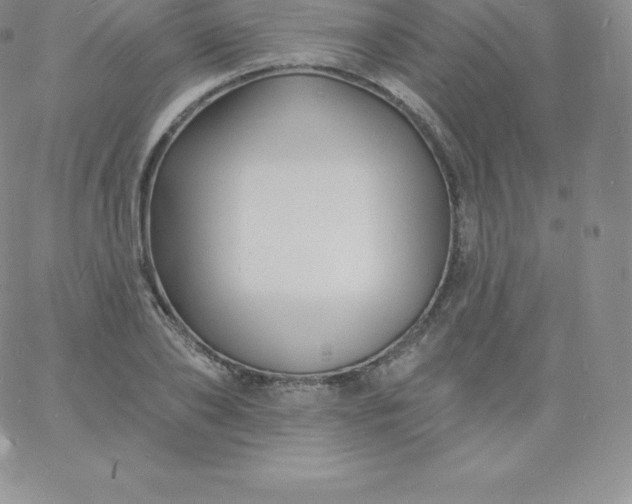 X0000060740886200511241635