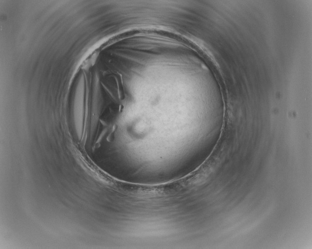 X0000060740887200511241635