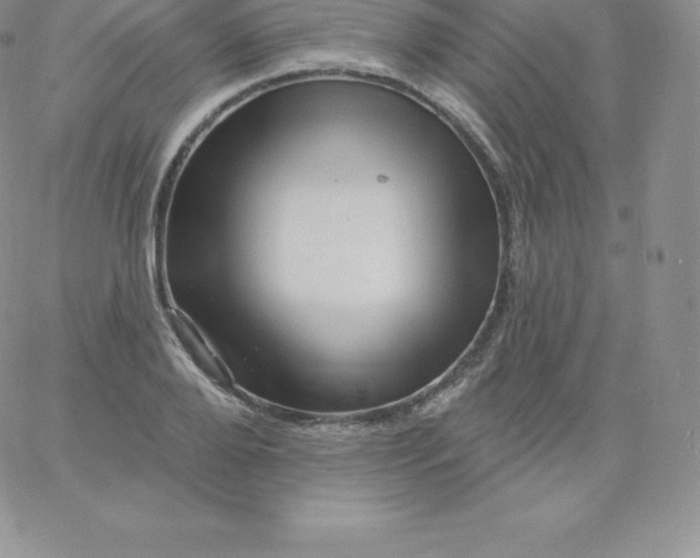 X0000060740888200511241635