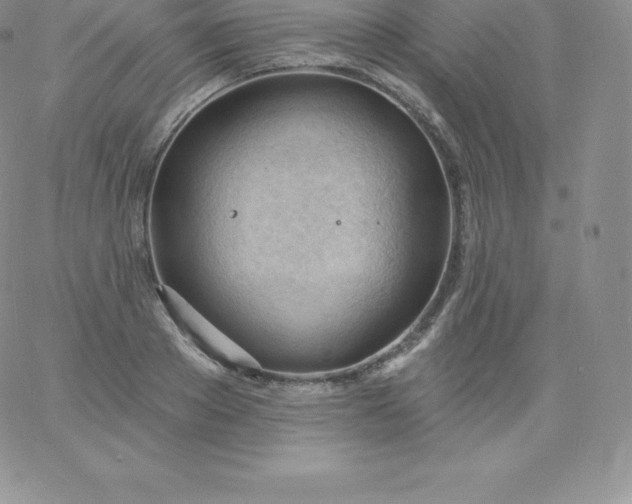 X0000060740889200511241635