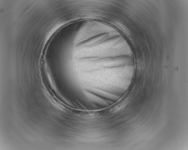 X0000060740891200511241635