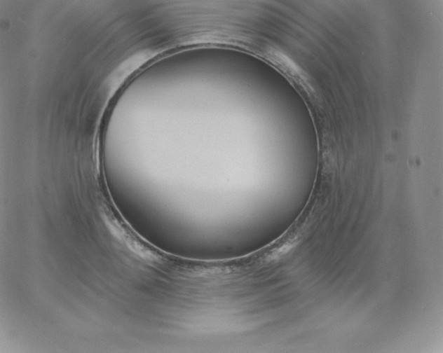 X0000060740892200511241635