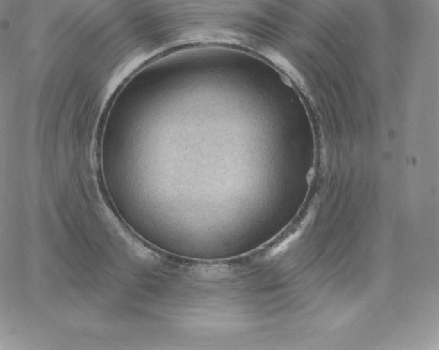 X0000060740893200511241635