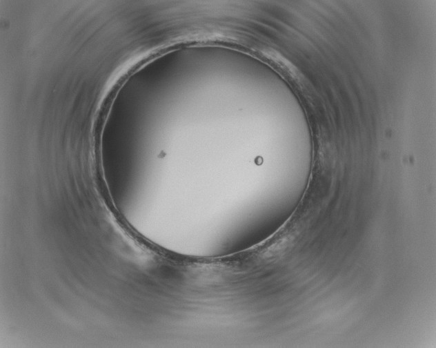 X0000060740894200511241635