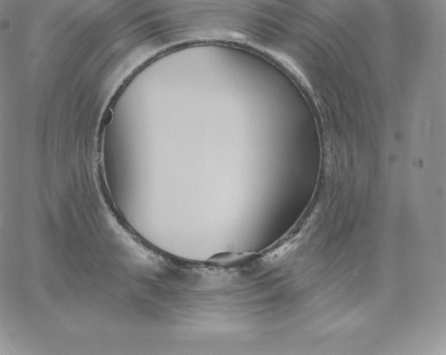 X0000060740895200511241635