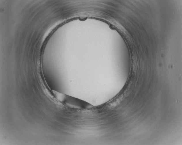 X0000060740896200511241635