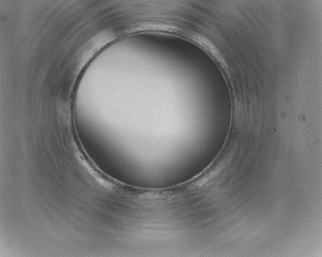 X0000060740898200511241635