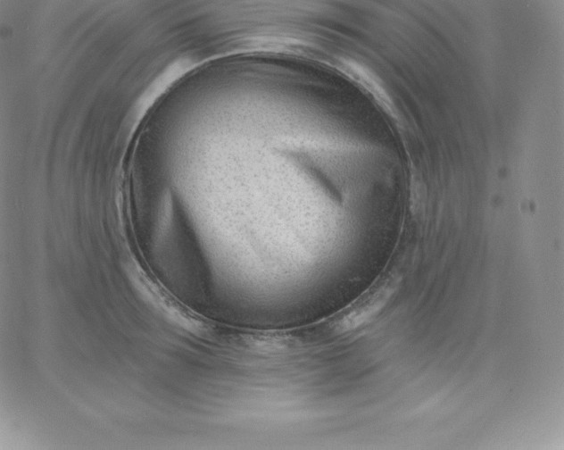 X0000060740899200511241635