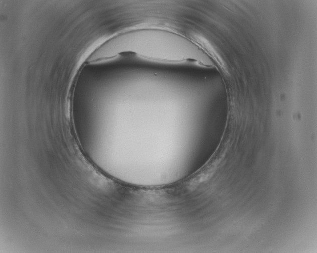 X0000060740900200511241635