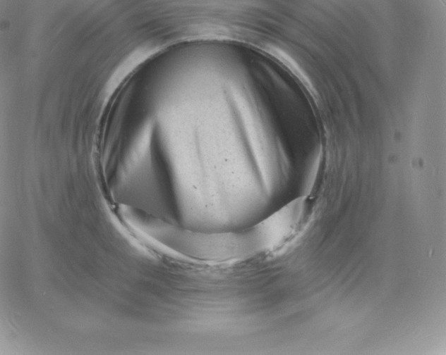 X0000060740901200511241635