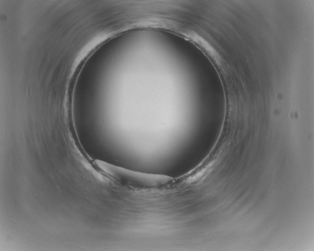 X0000060740902200511241635