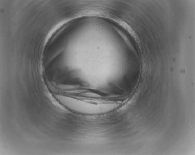 X0000060740904200511241635