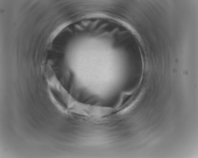 X0000060740905200511241635