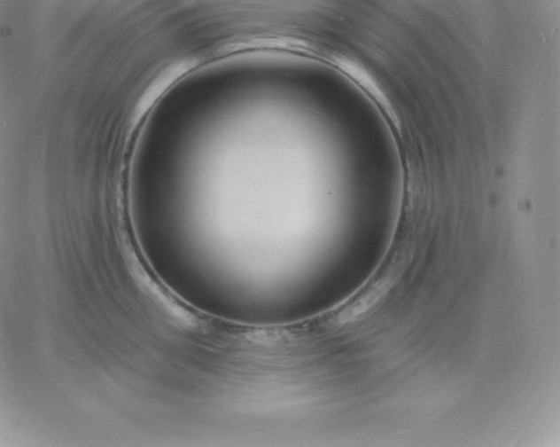 X0000060740906200511241635