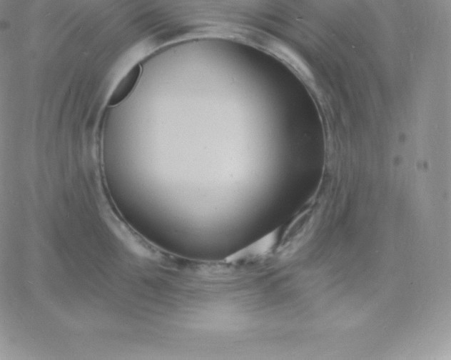 X0000060740907200511241635