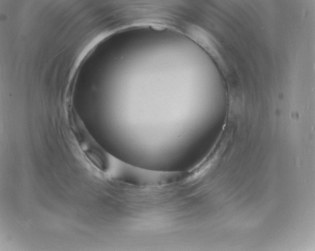 X0000060740908200511241635