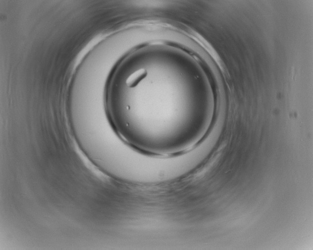 X0000060740909200511241635