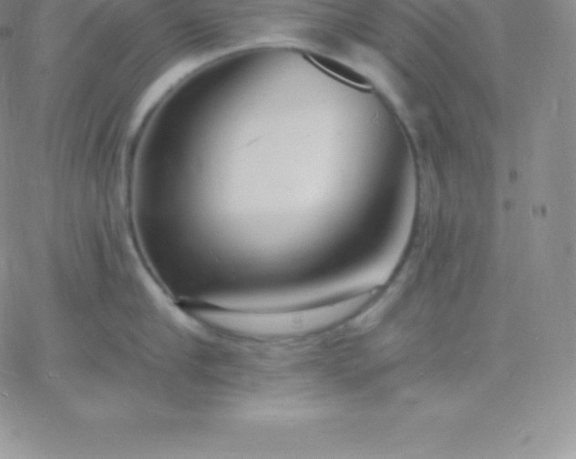 X0000060740910200511241635