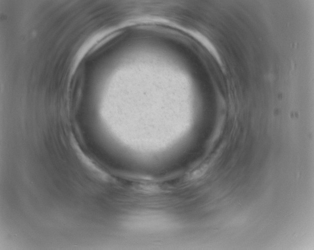 X0000060740911200511241635