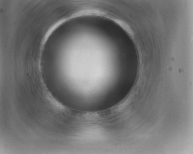 X0000060740912200511241635