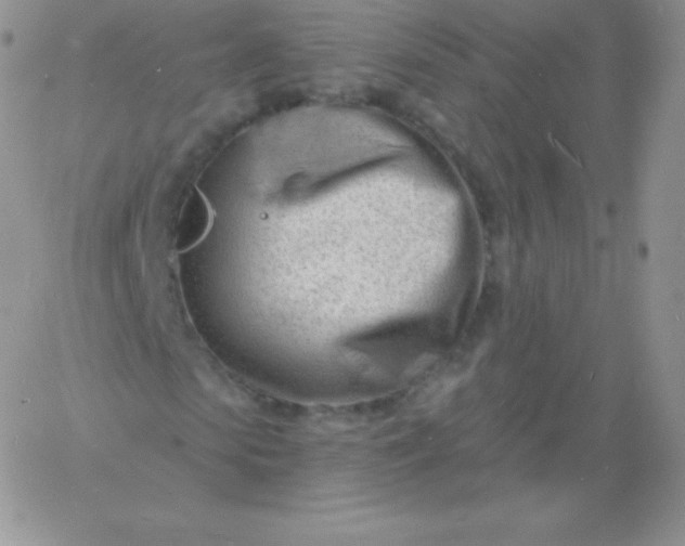 X0000060740913200511241634