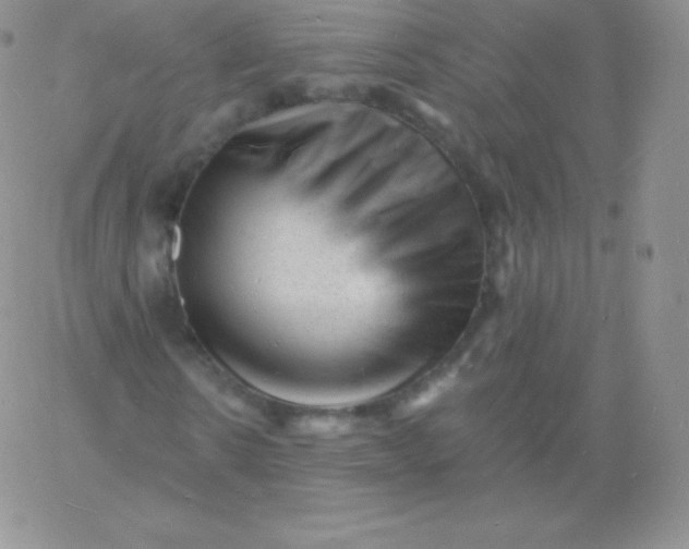 X0000060740914200511241634