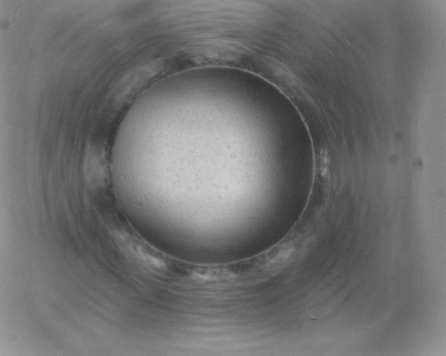 X0000060740915200511241634