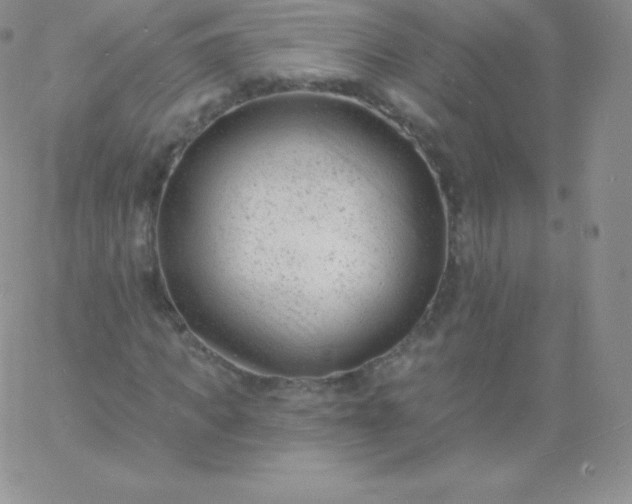 X0000060740917200511241634