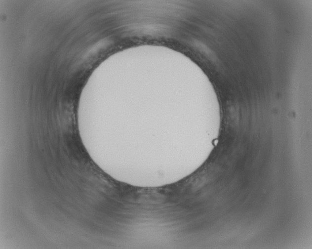 X0000060740918200511241634