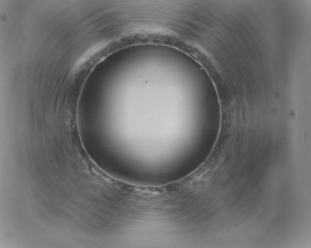 X0000060740919200511241634