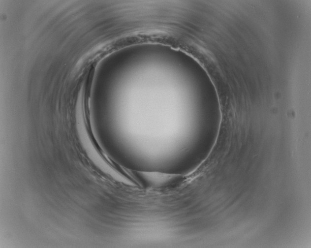 X0000060740920200511241634