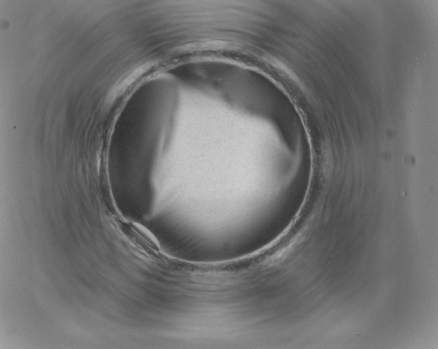 X0000060740921200511241634