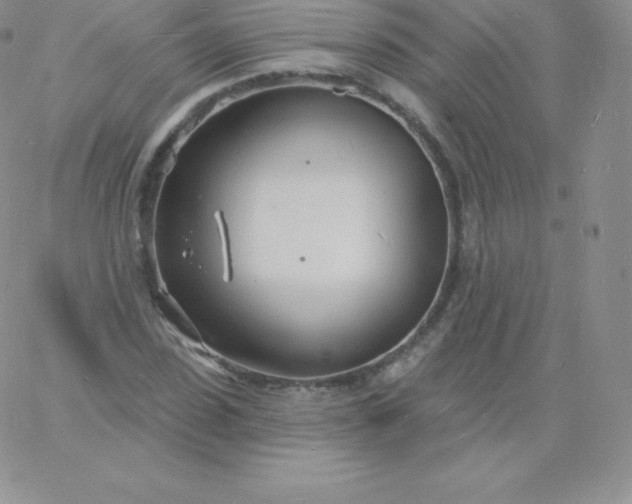 X0000060740923200511241634