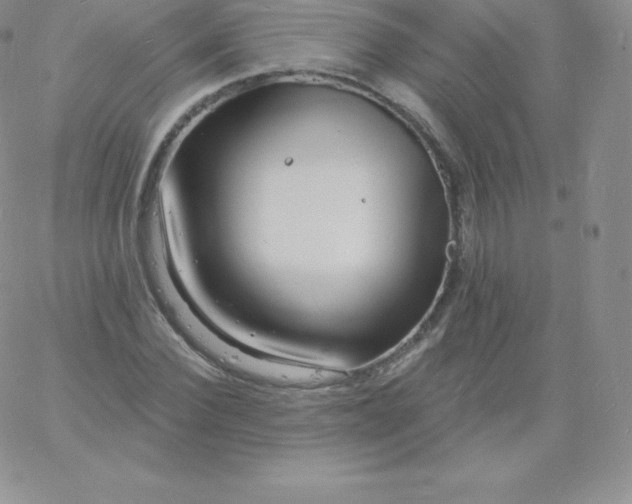 X0000060740924200511241634