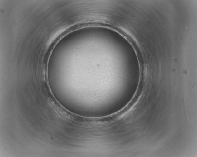 X0000060740925200511241634