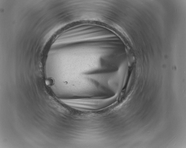 X0000060740926200511241634