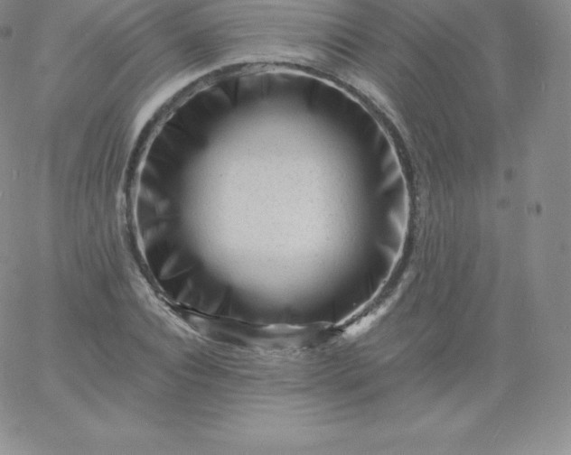 X0000060740928200511241634