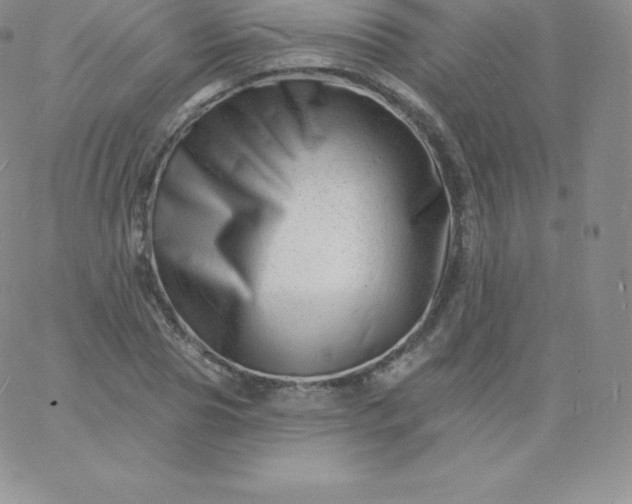 X0000060740929200511241634