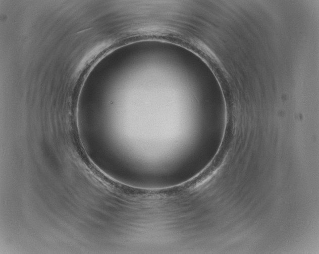 X0000060740930200511241634