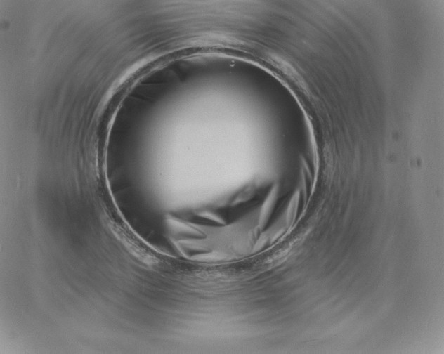 X0000060740931200511241634