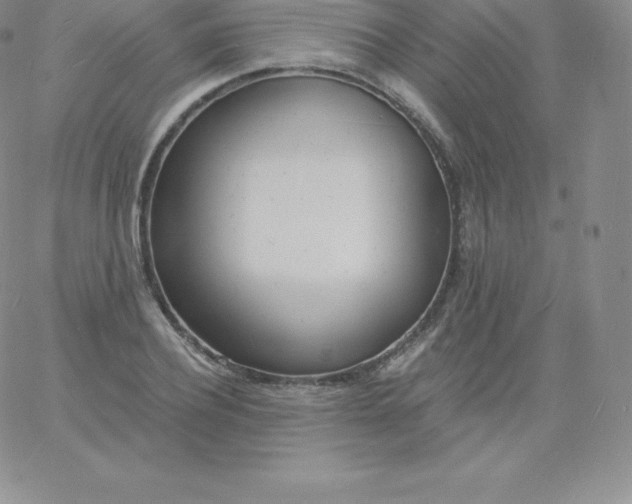 X0000060740932200511241634