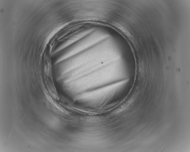 X0000060740933200511241634