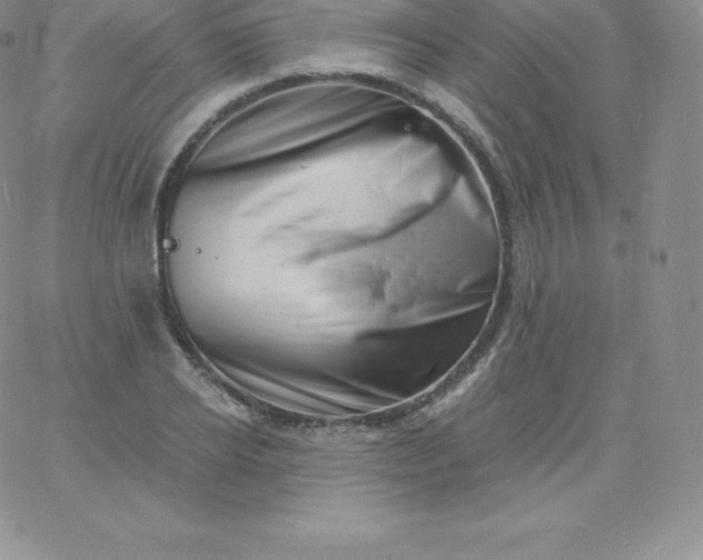 X0000060740934200511241634