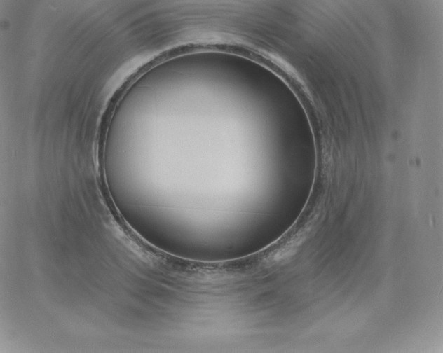 X0000060740935200511241634