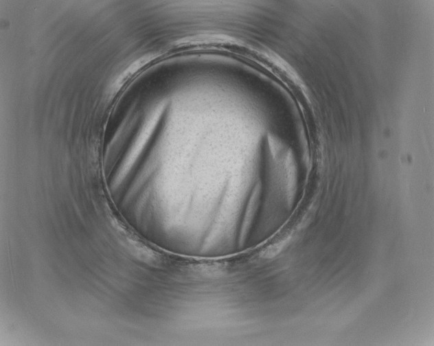 X0000060740937200511241634