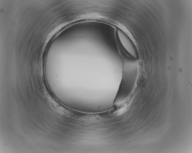 X0000060740939200511241634