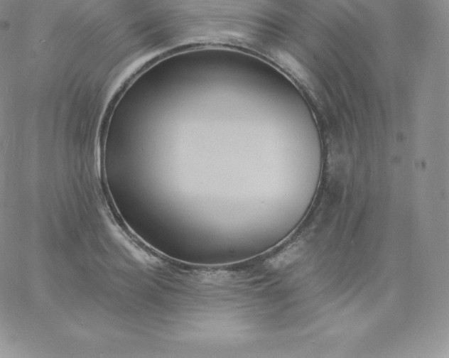 X0000060740940200511241634