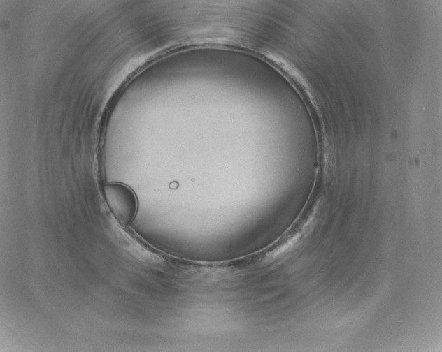 X0000060740941200511241634