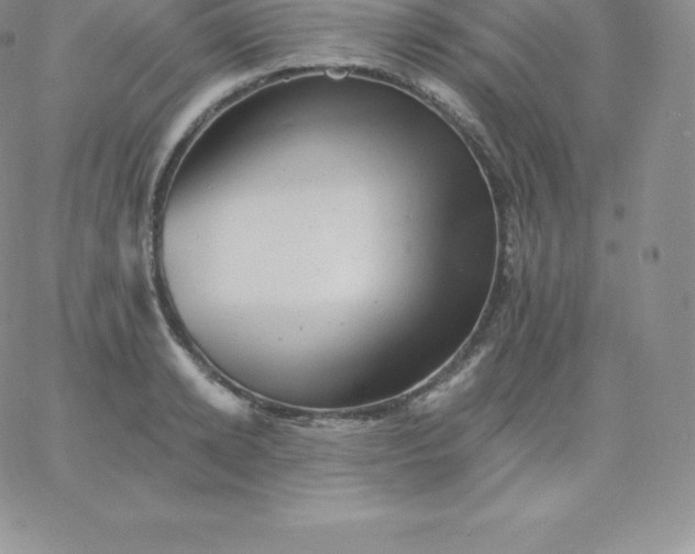 X0000060740942200511241634